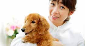 犬の健康「犬の予防接種」